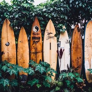 Meet your Posher, John-john